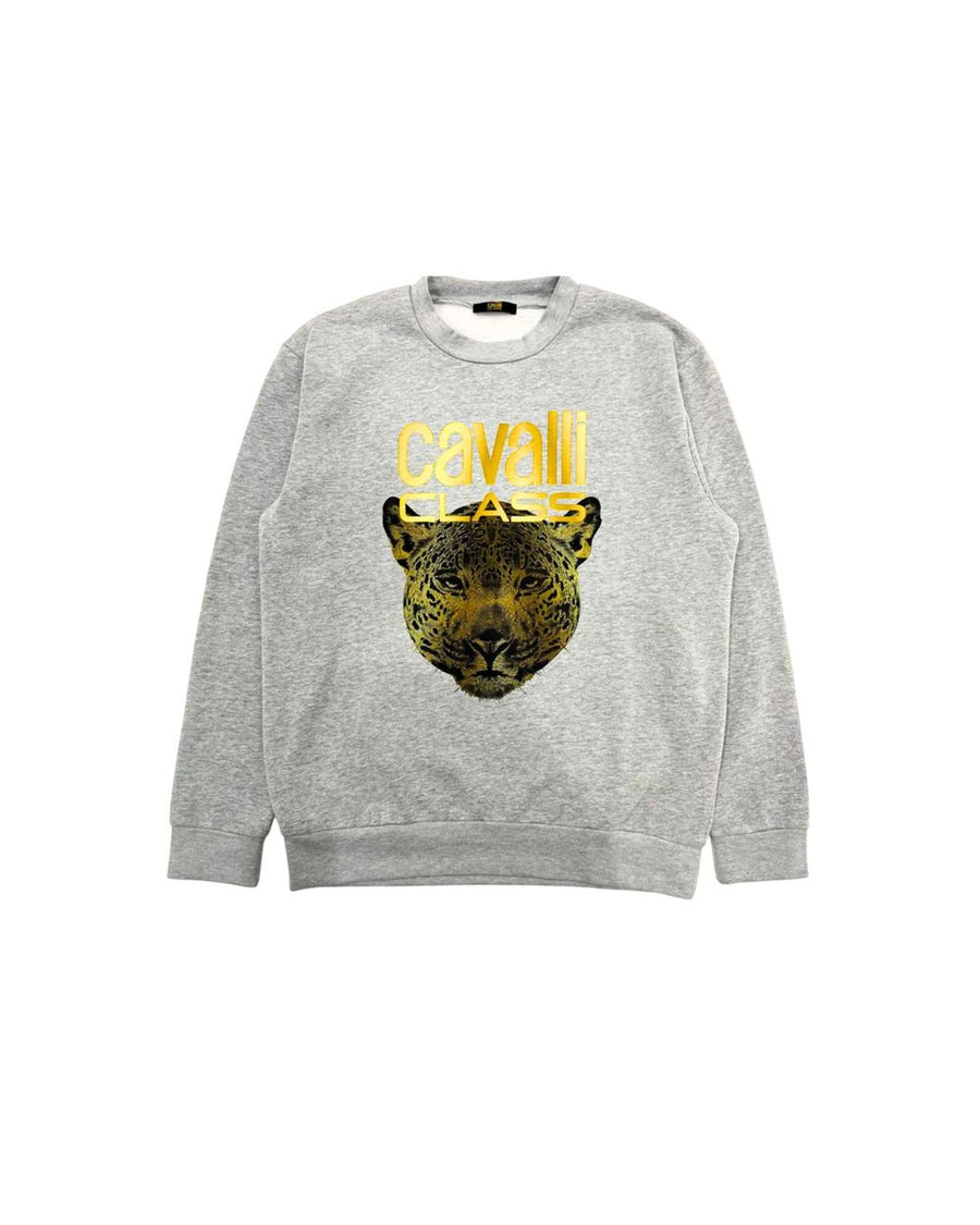 Cavalli Class Men's Gray Polyester Sweater - S