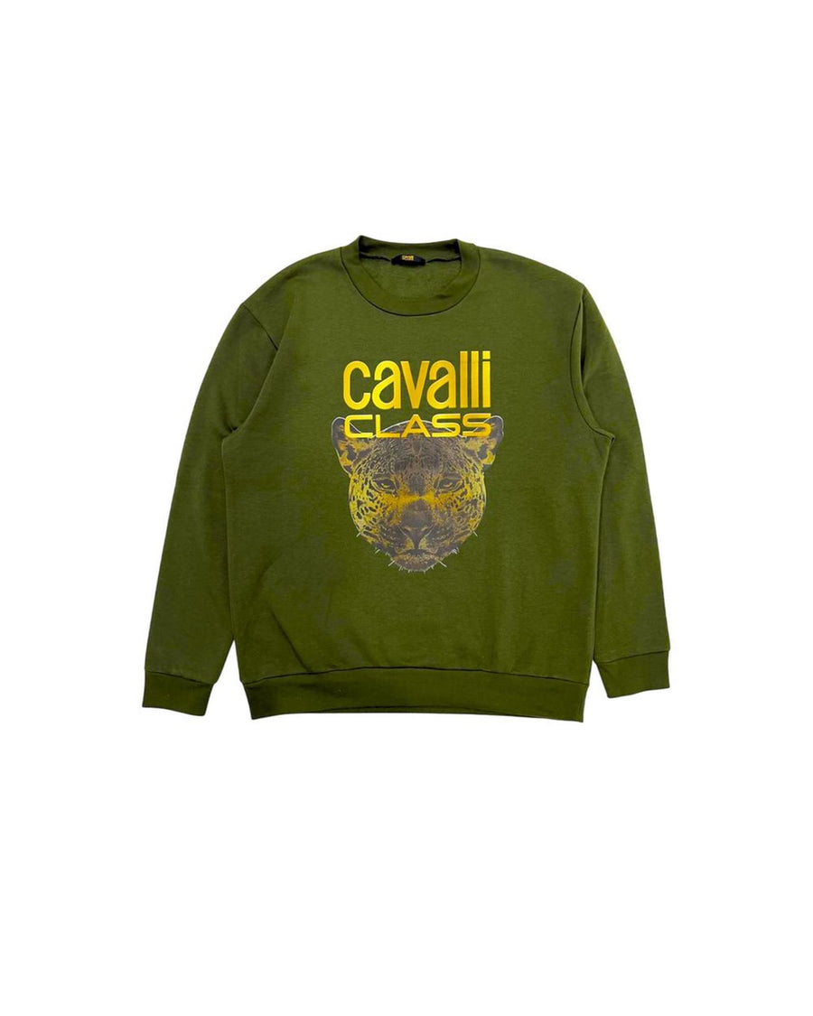 Cavalli Class Men's Green Polyester Sweater - M