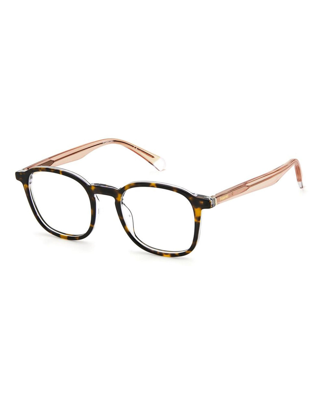 Polaroid Men's Brown Acetate Frames - One Size