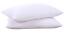 Puredown Goose Down and Feather Pillow Inserts for Sleeping, 100% Cotton Fabric Cover Bed Pillows, Set of 2, White, King