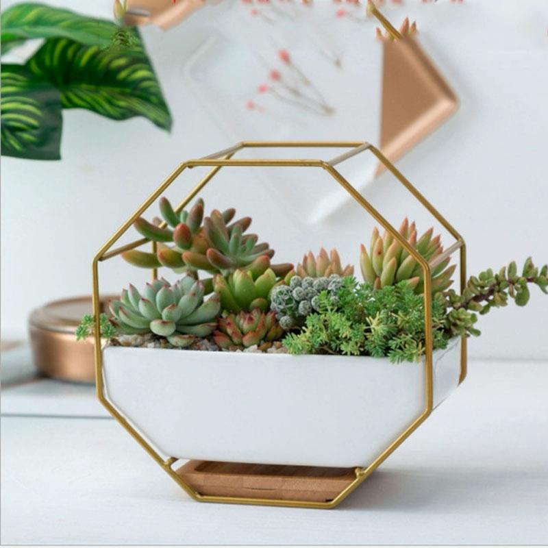 Geometric Wall Hanging Table with Bamboo Support and Iron Frame for Succulents - Gold