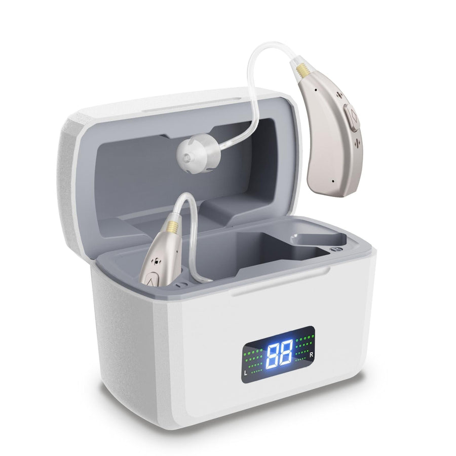 Rechargeable Digital Hearing Aid Silver