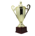 Large Classic Gold Trophy Cup Novelty Winners Prize Solid Achievement Award