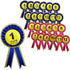 Kids Birthday Badge Rosette with Ribbon Party Favour Fancy Dress - Age 12 Pink