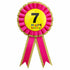 Kids Birthday Badge Rosette with Ribbon Party Favour Fancy Dress - Age 7 Pink