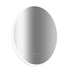 Oval Mirror LED Anti-Fog Illuminated Bathroom Living Room