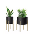 Metal Plant Stand Adjustable Indoor