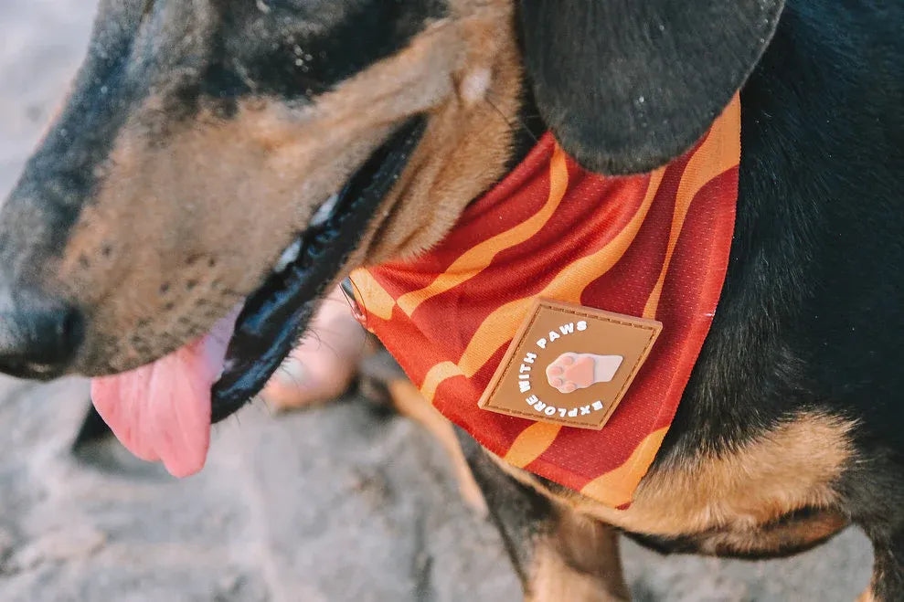 Designer Dog Bandana's 