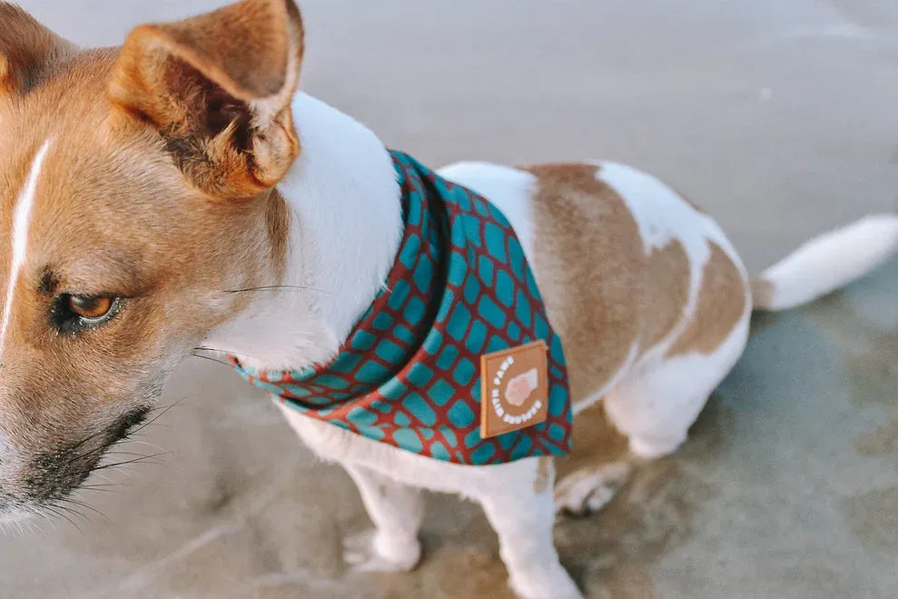 Designer Dog Bandana's 