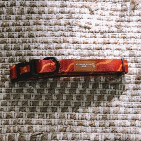 Designer Dog Collars 
