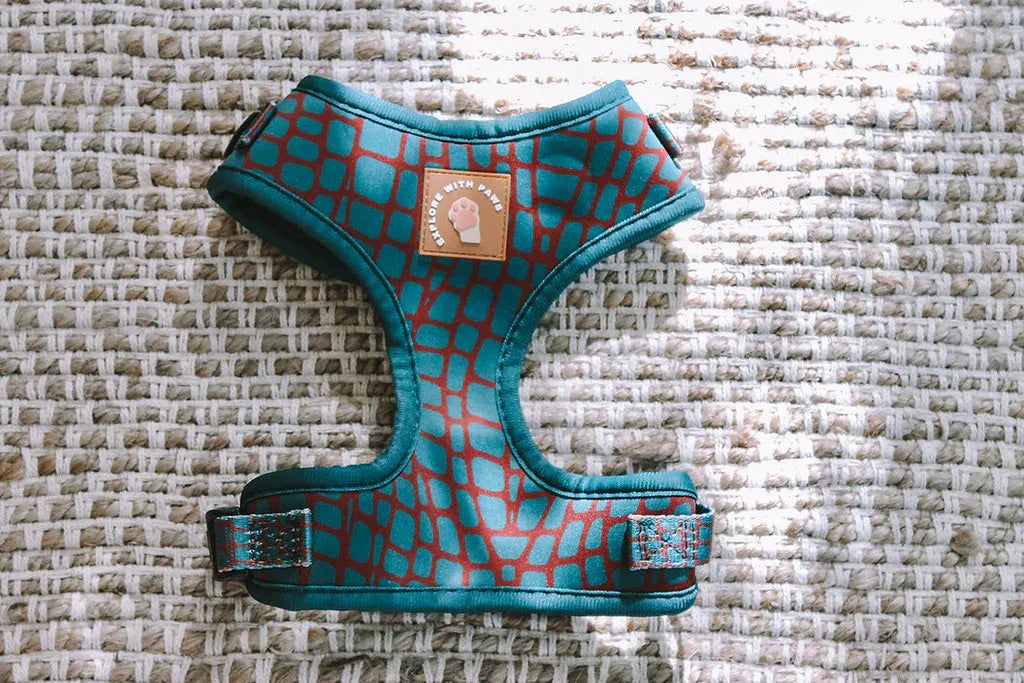 Designer Dog Harness 