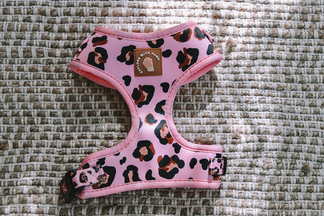 Designer Dog Harness 