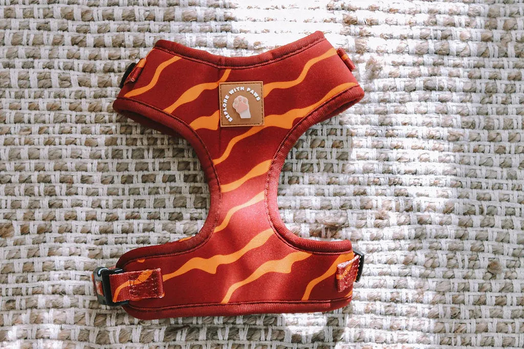 Designer Dog Harness 