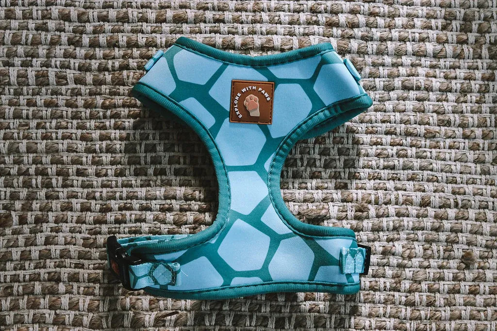 Designer Dog Harness 