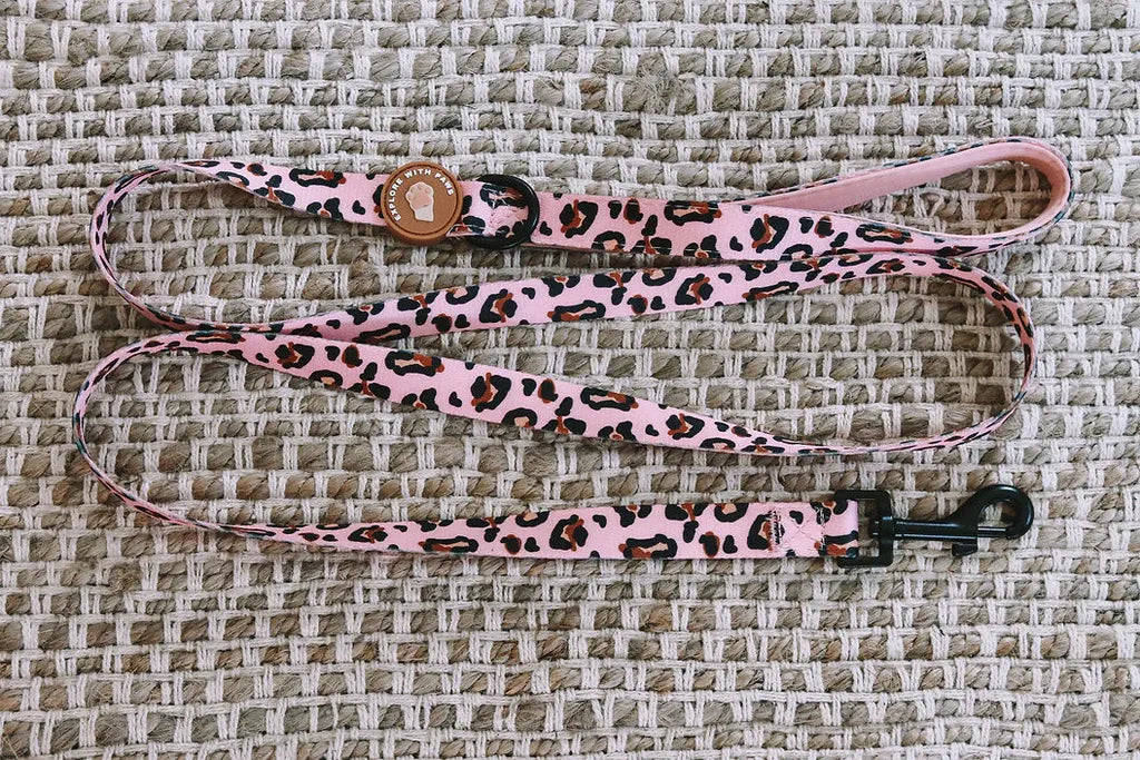 Designer Dog Leads 