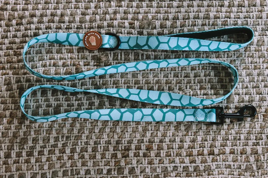 Designer Dog Leads 