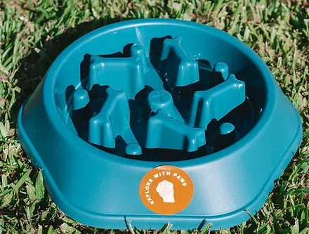Pet Slow Feeder Bowl 