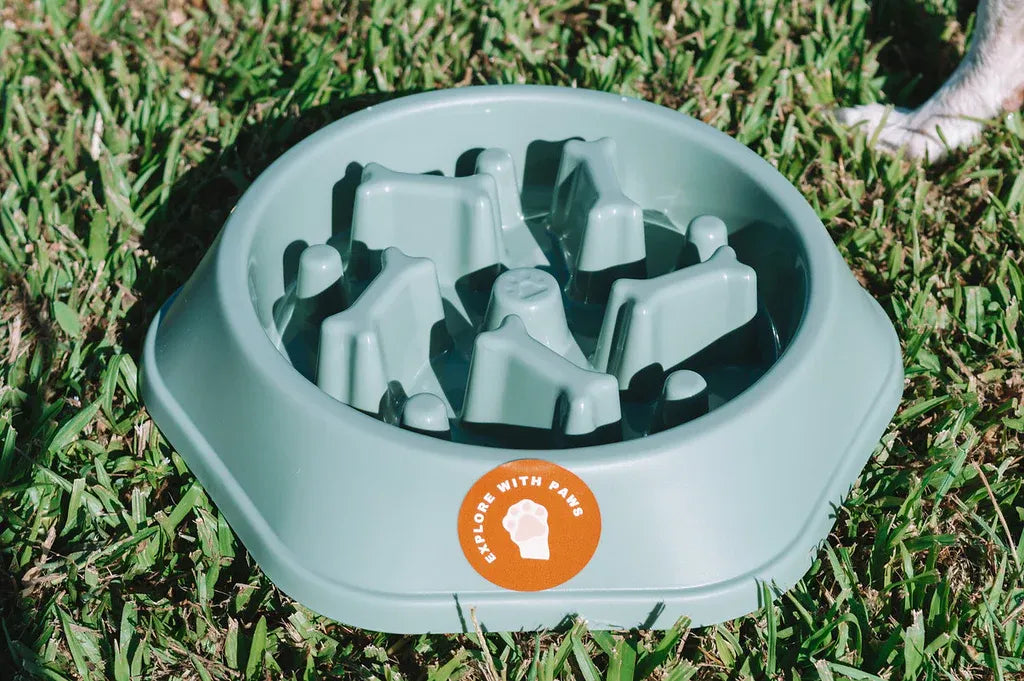 Pet Slow Feeder Bowl 