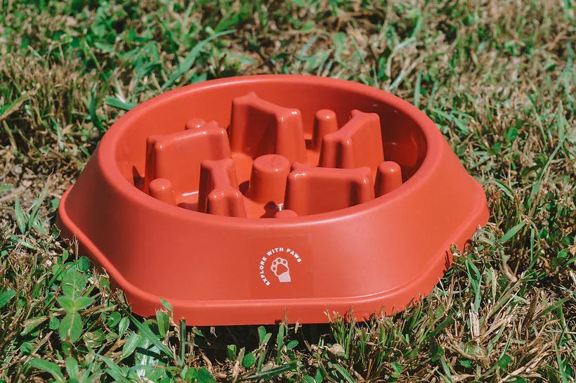 Pet Slow Feeder Bowl 