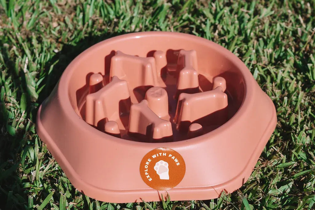 Pet Slow Feeder Bowl 