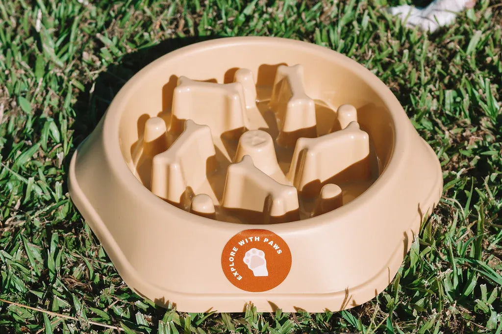 Pet Slow Feeder Bowl 