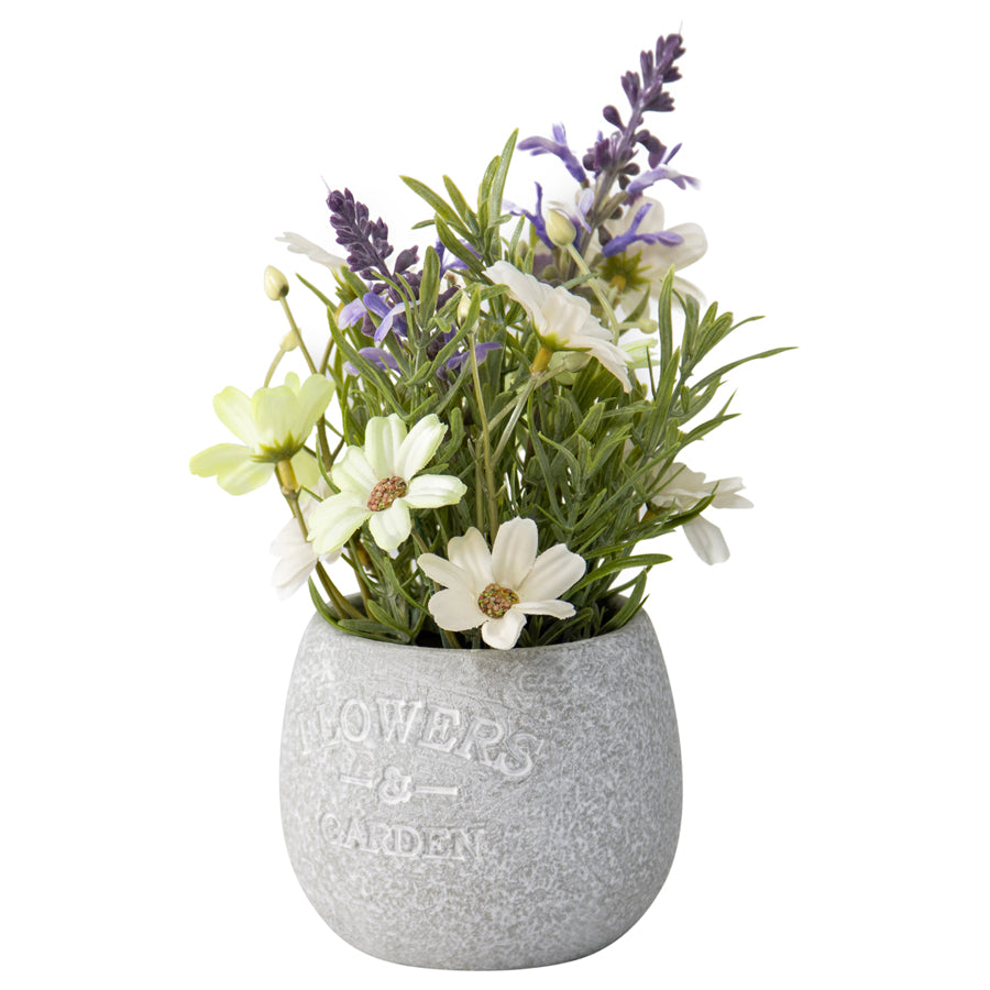 Home & Garden - Collection
