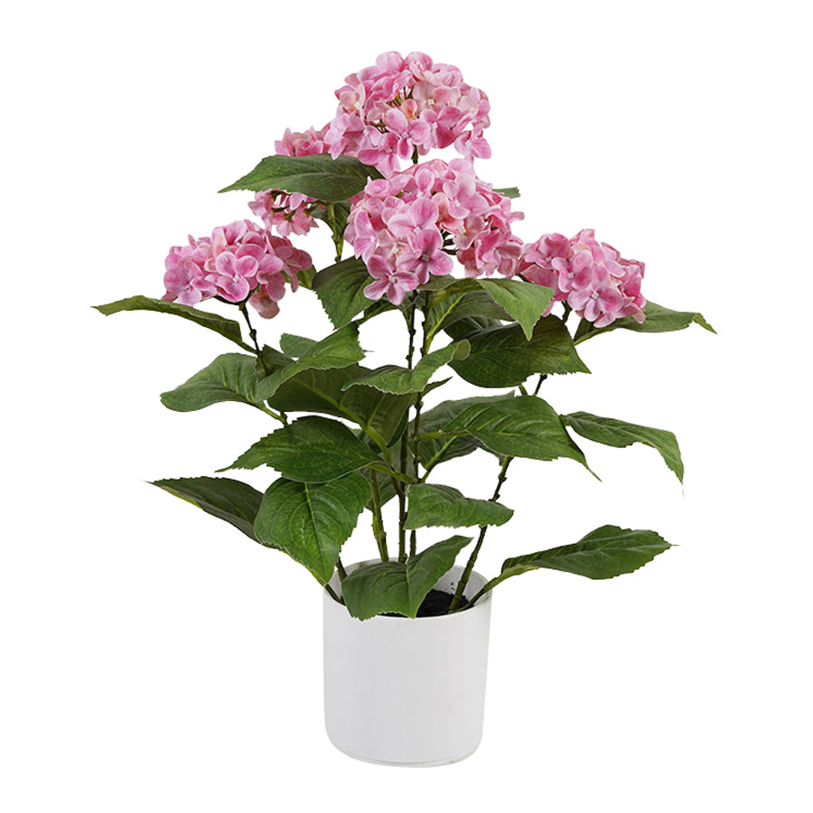 Home & Garden - Collection