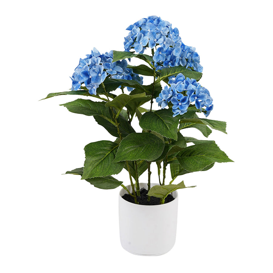 Home & Garden - Collection