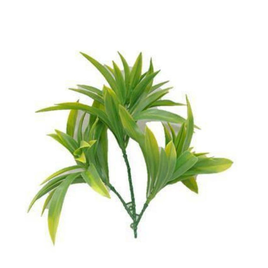 Dracaena (Yucca) Stem UV Resistant