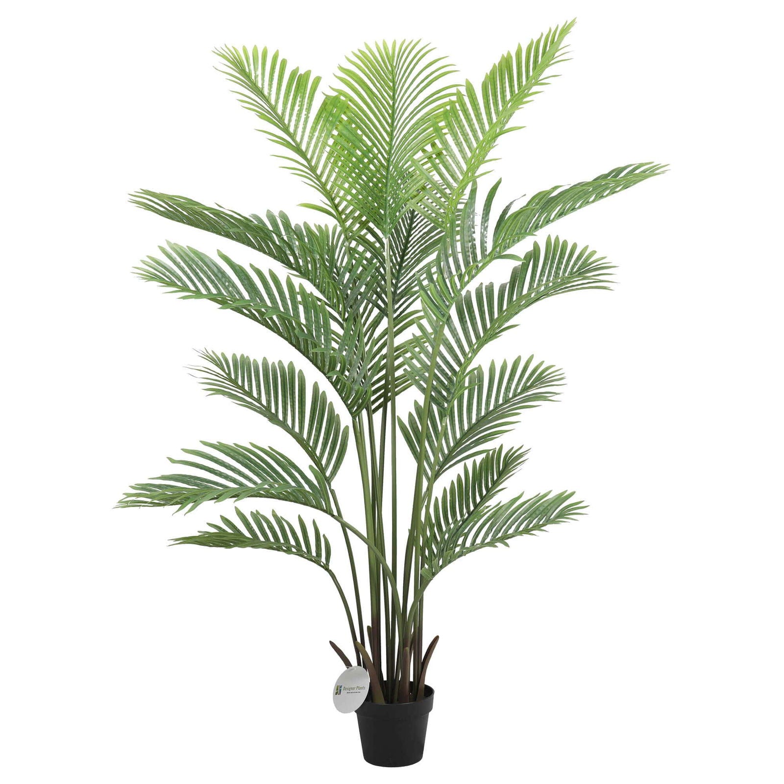 Home & Garden - Collection