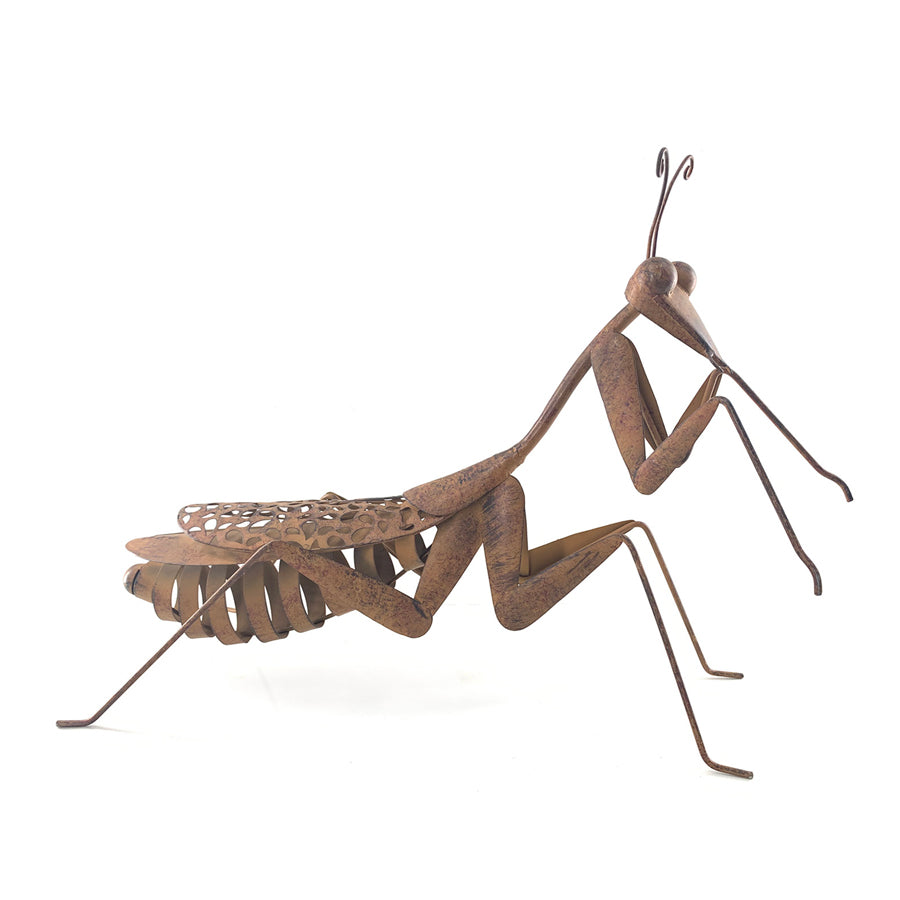 Lucky Praying Mantis Garden Statue 54x40cm