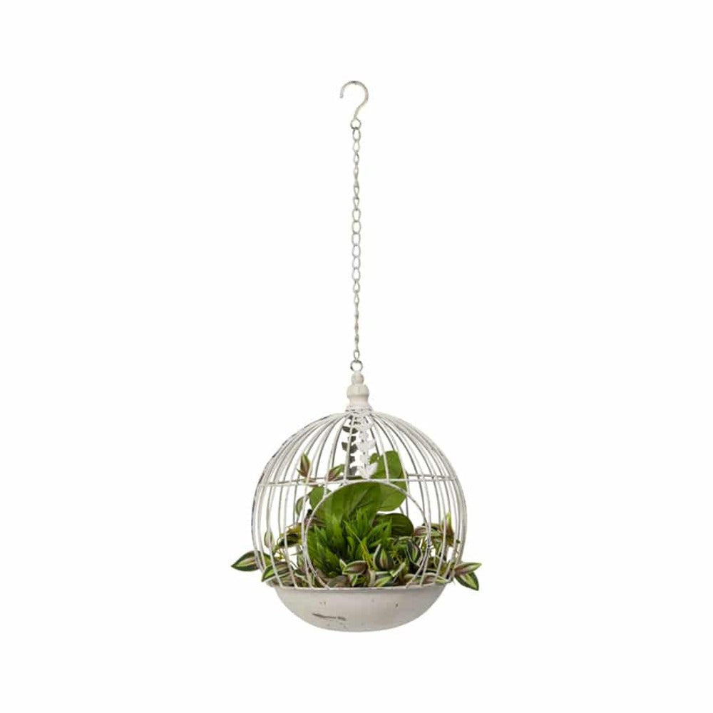 Home & Garden - Collection
