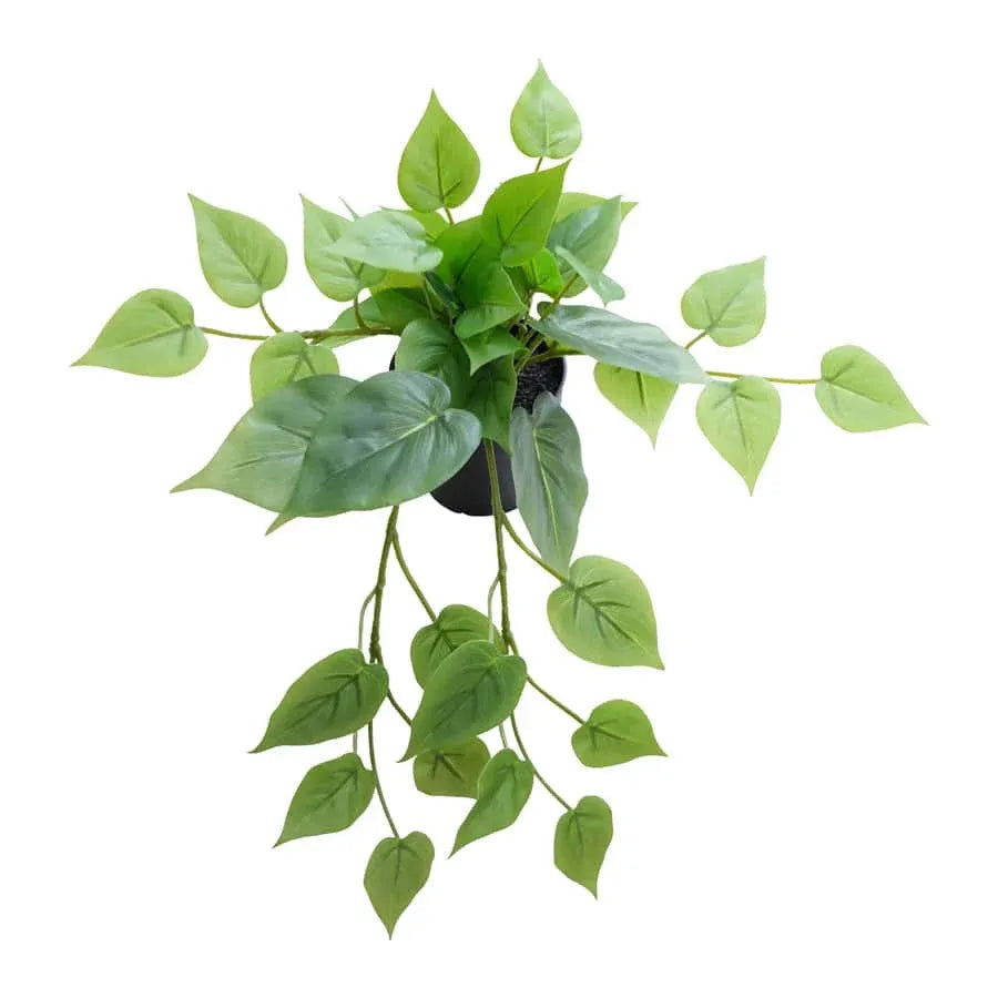 Potted Artificial Hanging Pothos 38cm