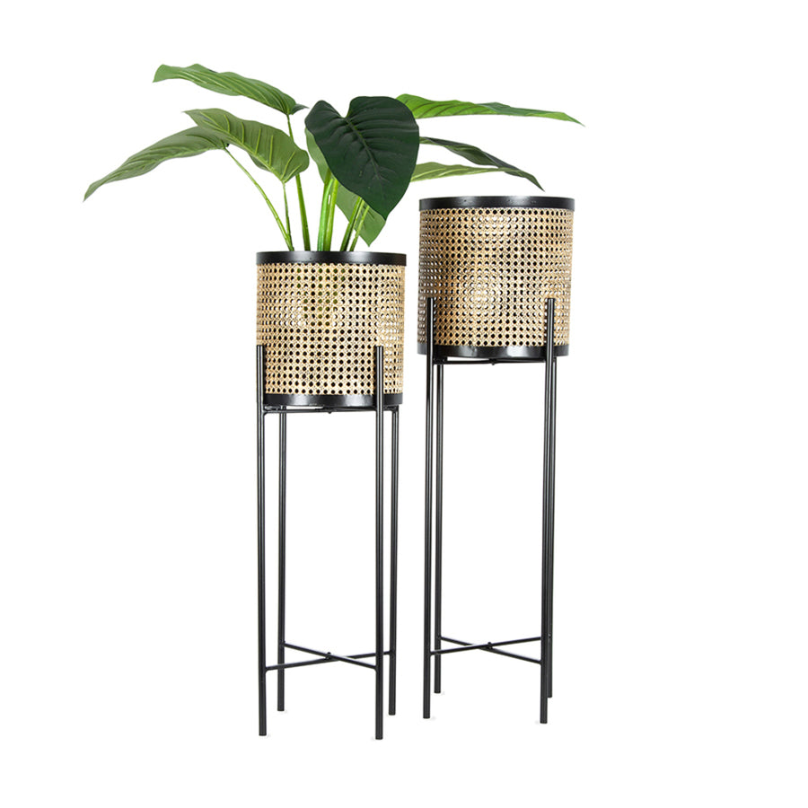 Set 2 Rattan Look w Black Stilted Metal Planters 90cm