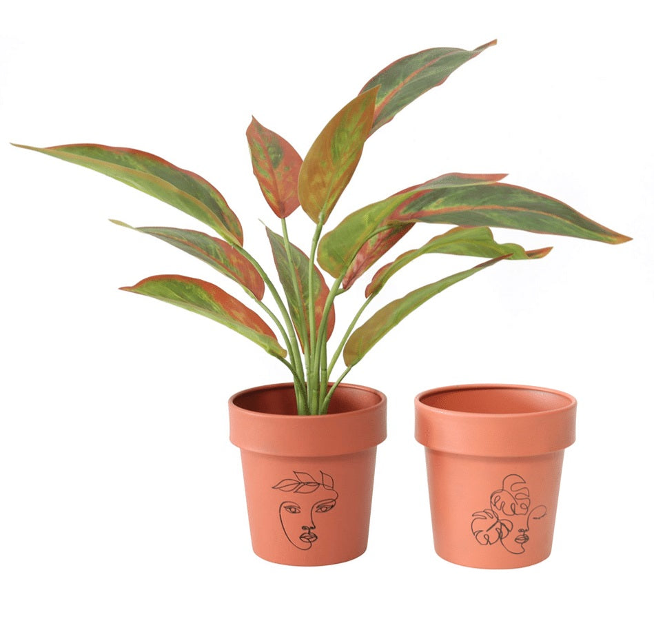 Set 2 Line Art Pot planters Assort 13cm