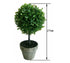 Artificial Boxwood in Pot 27cm