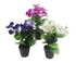 Set 3 Artificial Flowers in Pot Assort 21cm