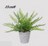 Artificial Fern Plant in Pot 35cm