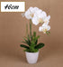 Artificial One Stem Orchid In Plastic Pot 10x46cm