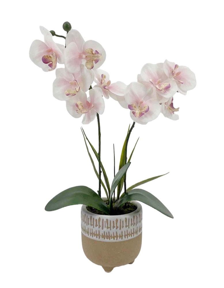 Home & Garden - Collection