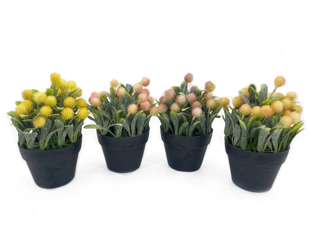 Set 4 Artificial Protea in Pot Assort 20cm