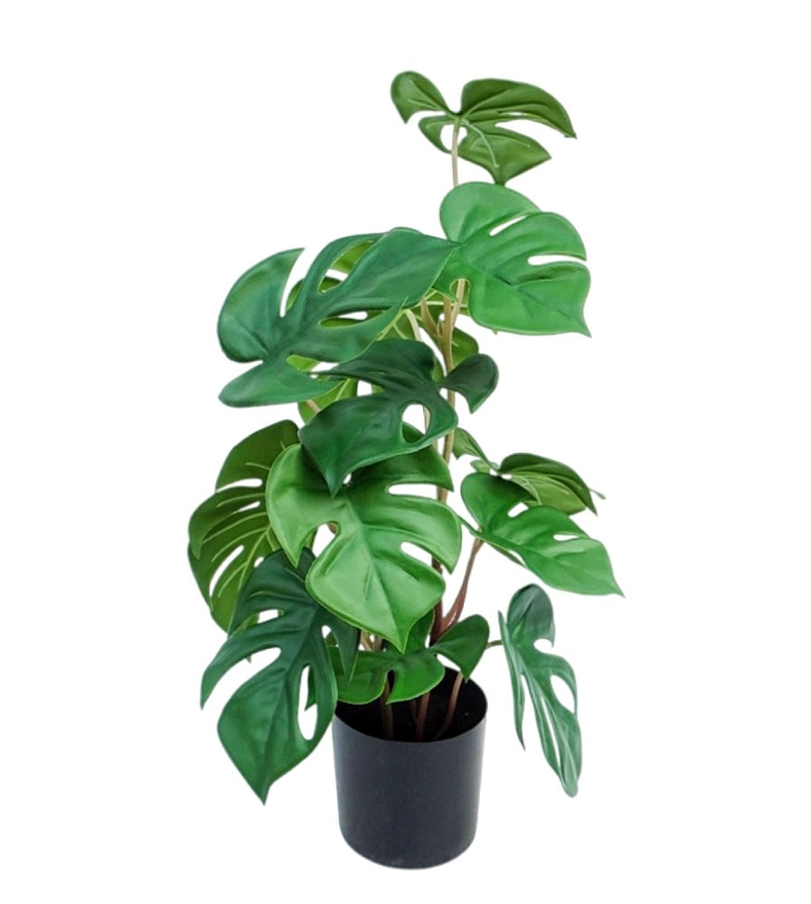 Artificial Monstera In Plastic Pot 10x26cm