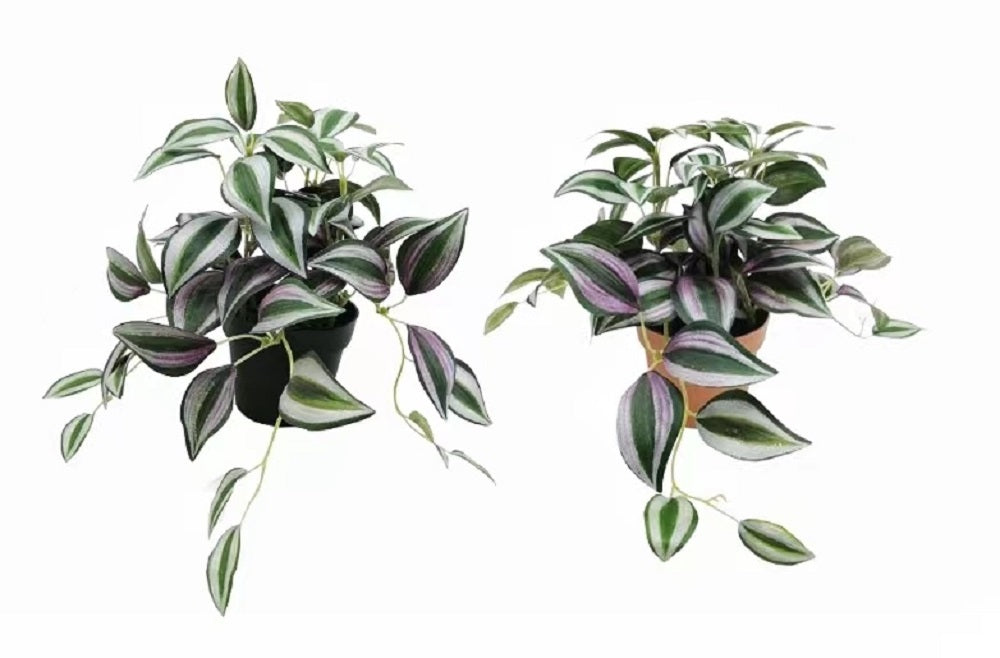 Home & Garden - Collection