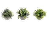 Set 3 Artificial Plant in Cement Pot Assort 18cm