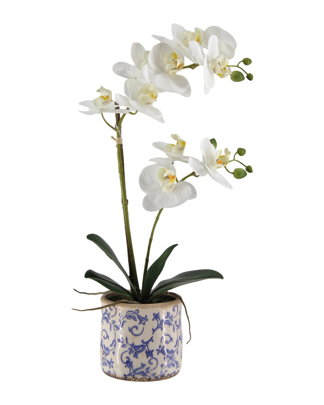 Real Touch Artificial Orchid in Ceramic Pot 53cm
