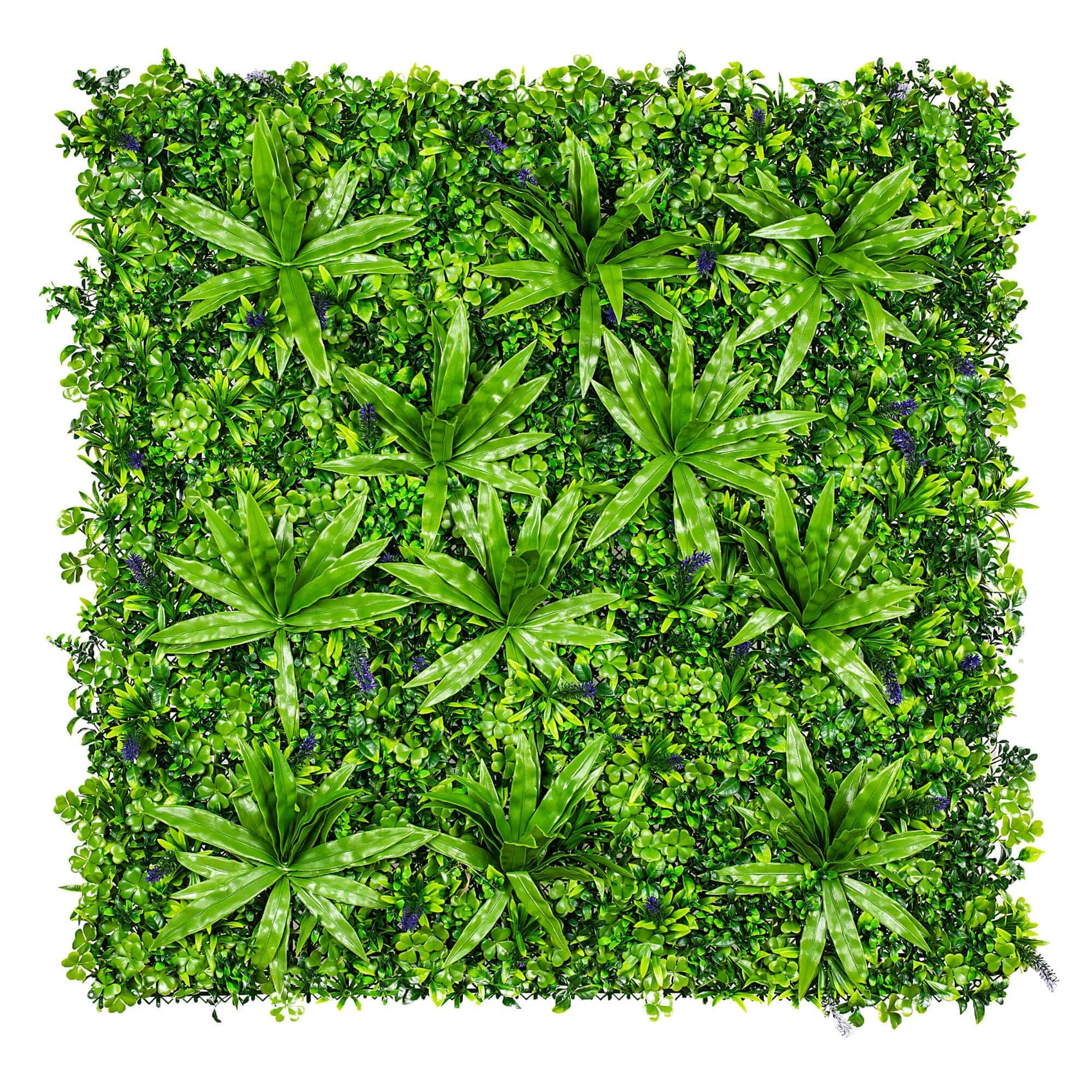 Lavandula Vertical Garden / Green Wall UV Resistant SAMPLE