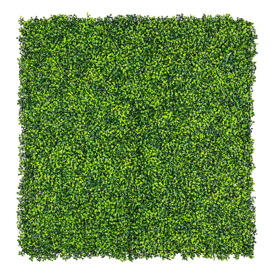 Mixed Boxwood Hedge Panels / Screens UV Resistant 1m X 1m