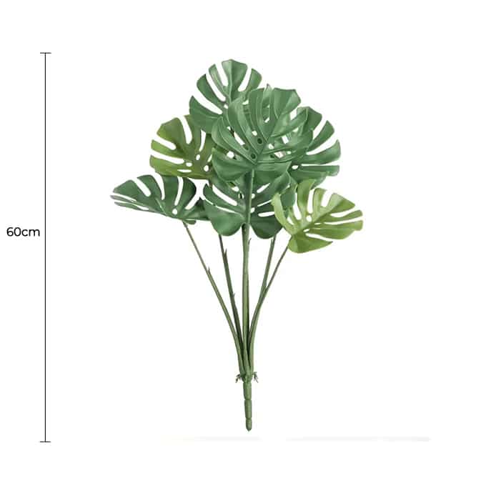 Home & Garden - Collection