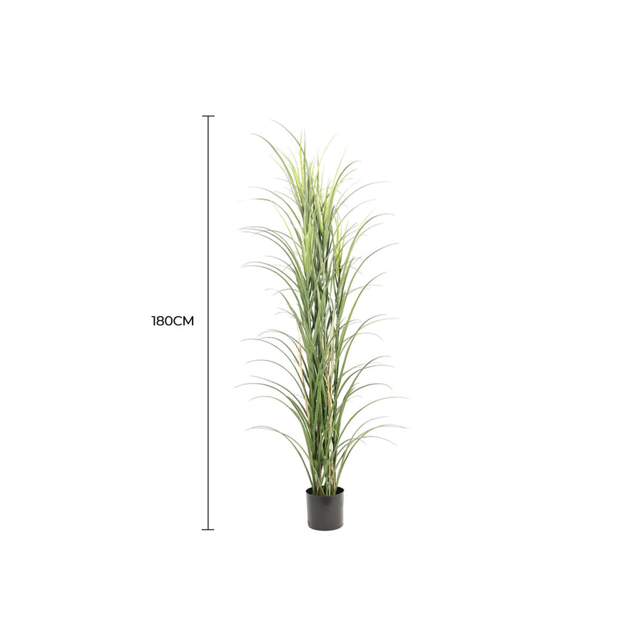 Premium Potted Artificial Long Grass (Yucca Grass / Reed Grass) 180cm UV Resistant