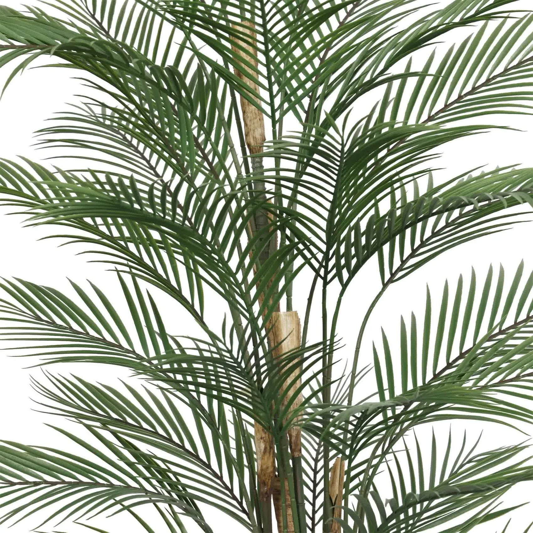 Premium Artificial Areca Palm Tree 210cm UV Resistant (New Arrival)